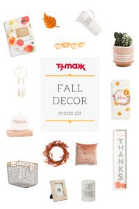 TJMaxx fall decor under $25
