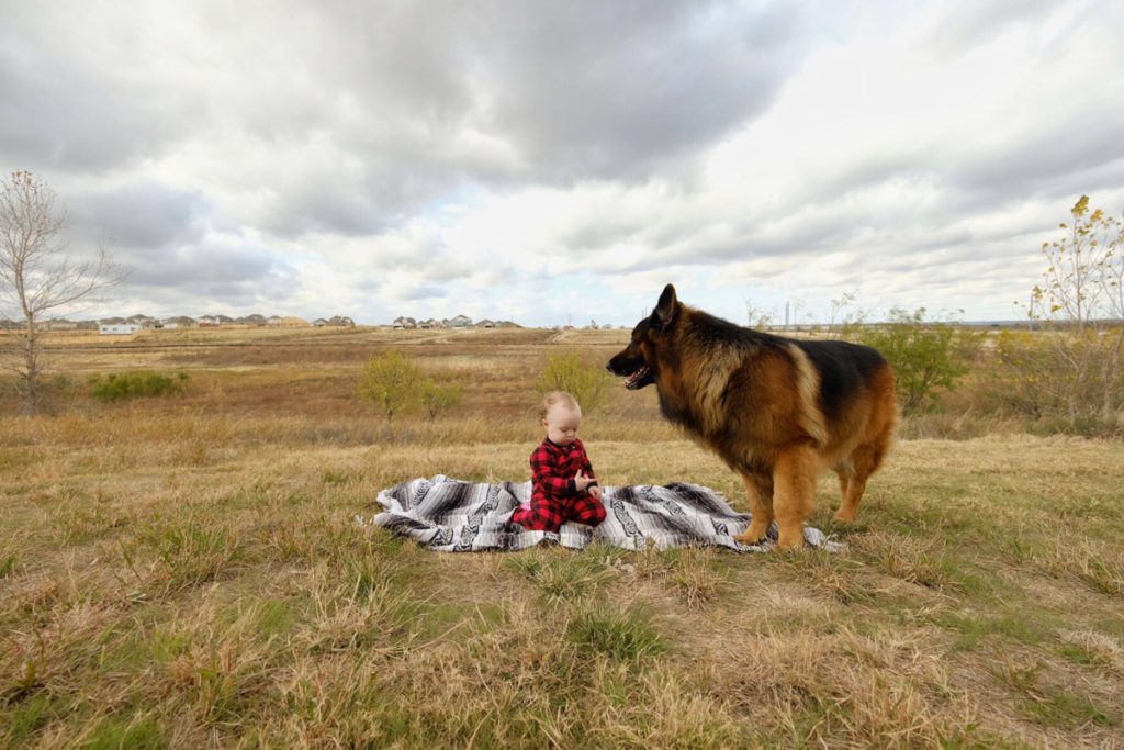 baby and dog outside with clouds in the background