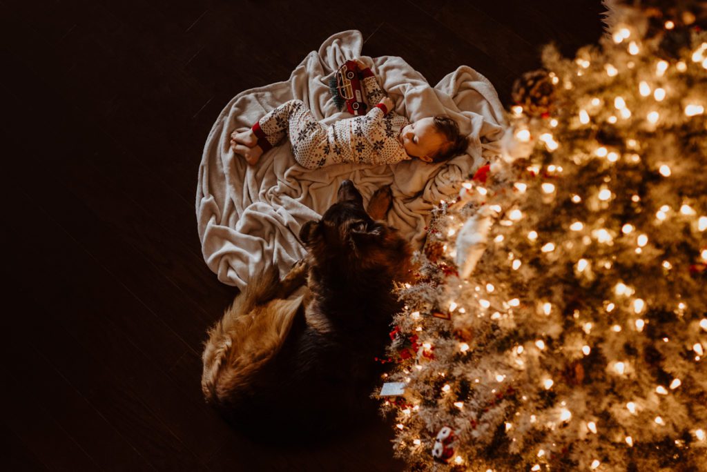 baby and dog next to a christmas tree photographed from above